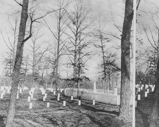 Graves of Mr and Mrs Custis, surrounded by Union Dead, Arlington Cemetery